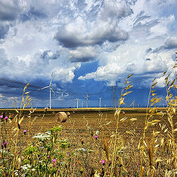 Vento e oro di Puglia