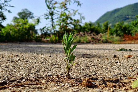 Natura vs infrastrutture, quale equilibrio?