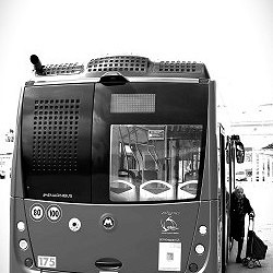 Al ritorno dalla spesa