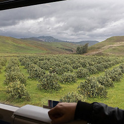 Viaggio in seconda classe