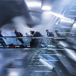 Flussi di partenza , radici immobili